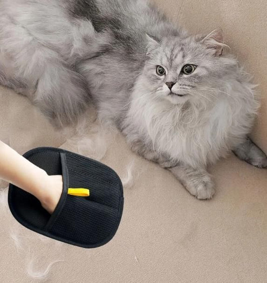 🐶Pet Hair Removal Gloves | 😍 50% Off